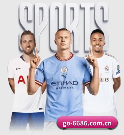 6686官网 APP