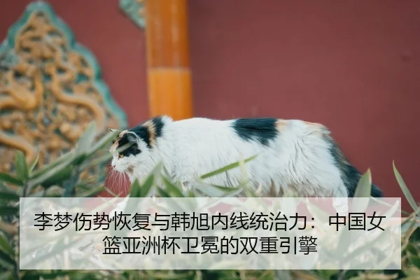 li-meng-shang-shi-hui-fu-yu-han-xu-nei-xian-tong-zhi-li-zhong-guo-nv-lan-ya-zhou-bei-wei-mian-de-shuang-chong-yin-qing-3-147.jpg