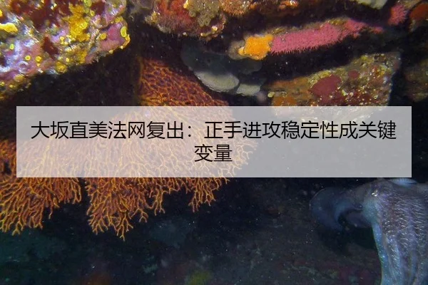 da-ban-zhi-mei-fa-wang-fu-chu-zheng-shou-jin-gong-wen-ding-xing-cheng-guan-jian-bian-liang-3-280.jpg
